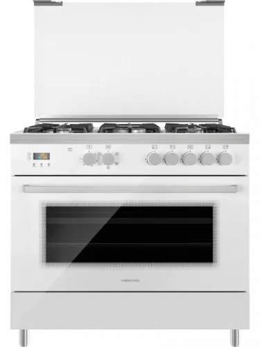 HIBERG FEG 950-25 MW