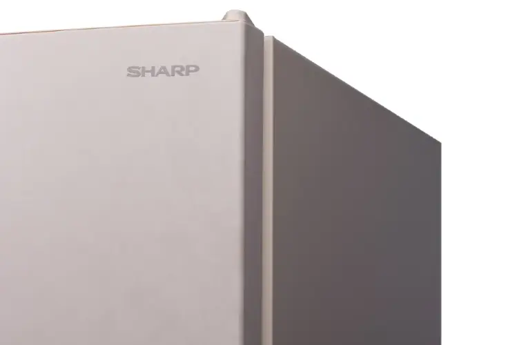 Холодильник Sharp SJ-653GHXJ52R