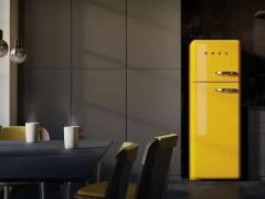 Минибар Smeg FAB5LPB6