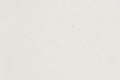 Кухонная мойка ROYS 1B1D WHITE