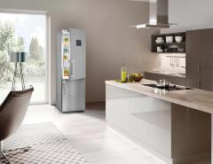 Холодильник Liebherr CNPes 4868 Premium NoFrost
