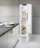Холодильник Liebherr KBPgw 4354 Premium BioFresh