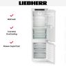 Встраиваемый холодильник Liebherr ICBNdi 5123