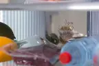 Холодильник Sharp SJFS97VBK