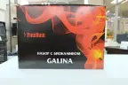 Набор: биокамин GALINA, биотопливо (1.5 л), зажигалка